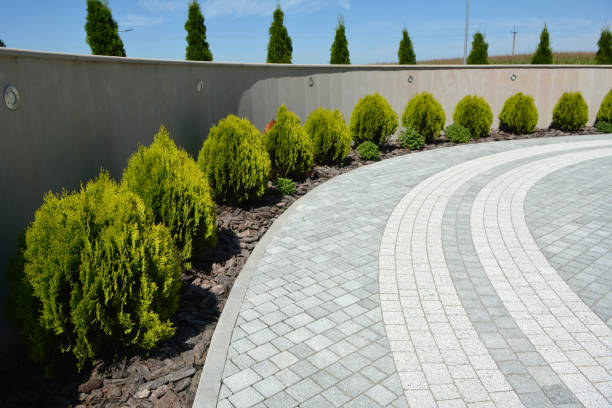Best Professional Driveway Pavers  in Maugansville, MD